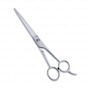 Economy Hair Scissors