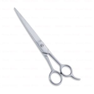 Economy Hair Scissors