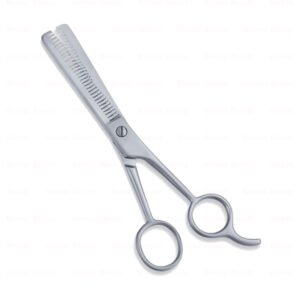 Economy Hair Scissors